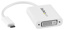 STARTECH USB-C to DVI Adapter - White